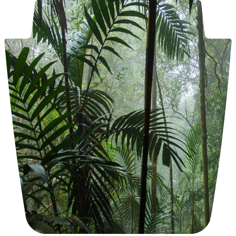 Rainforest Escape Full-Color Jeep Hood Graphic