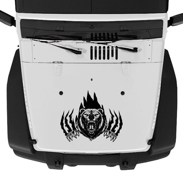 Bear Claw Scratches Hood Graphic