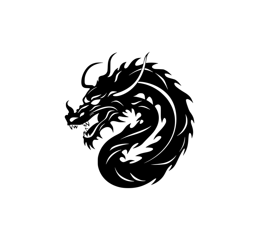 Dragon Hood Graphic