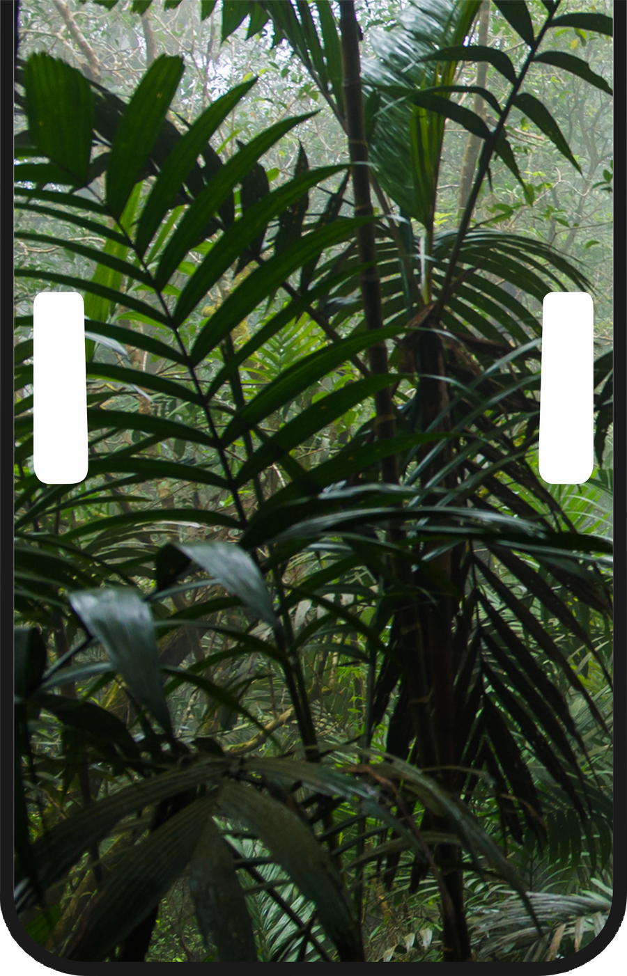 Rainforest Escape Full-Color Jeep Hood Graphic