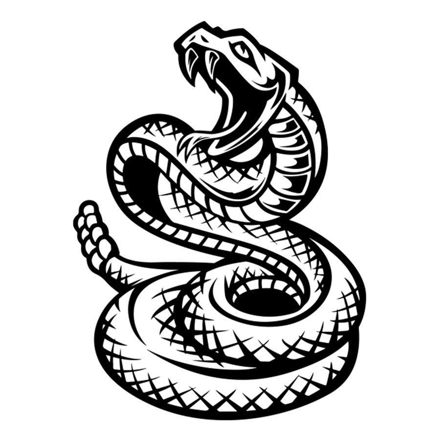 Rattlesnake Hood Graphic