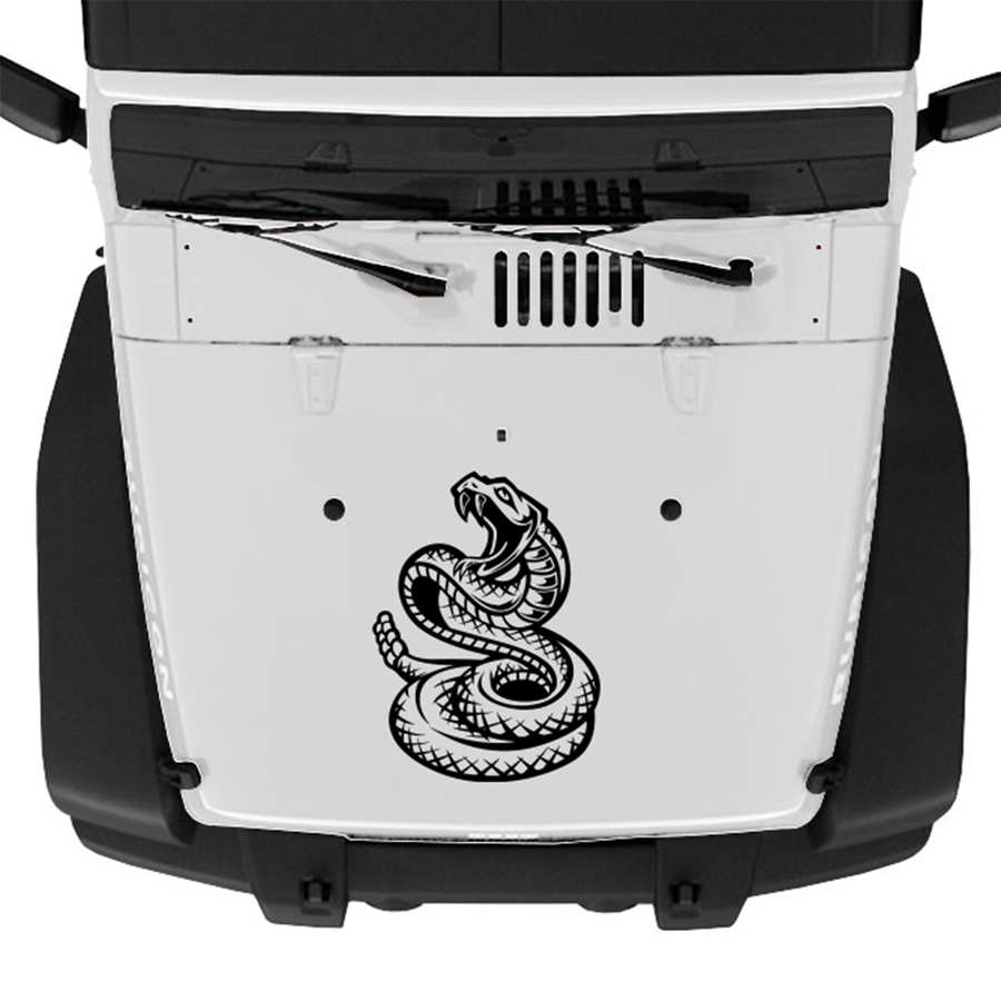 Rattlesnake Hood Graphic