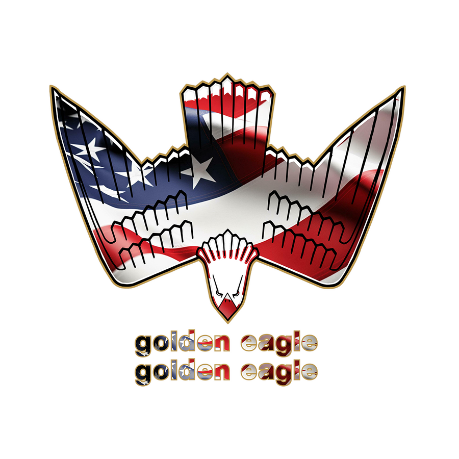 American Flag Golden Eagle Graphics Set