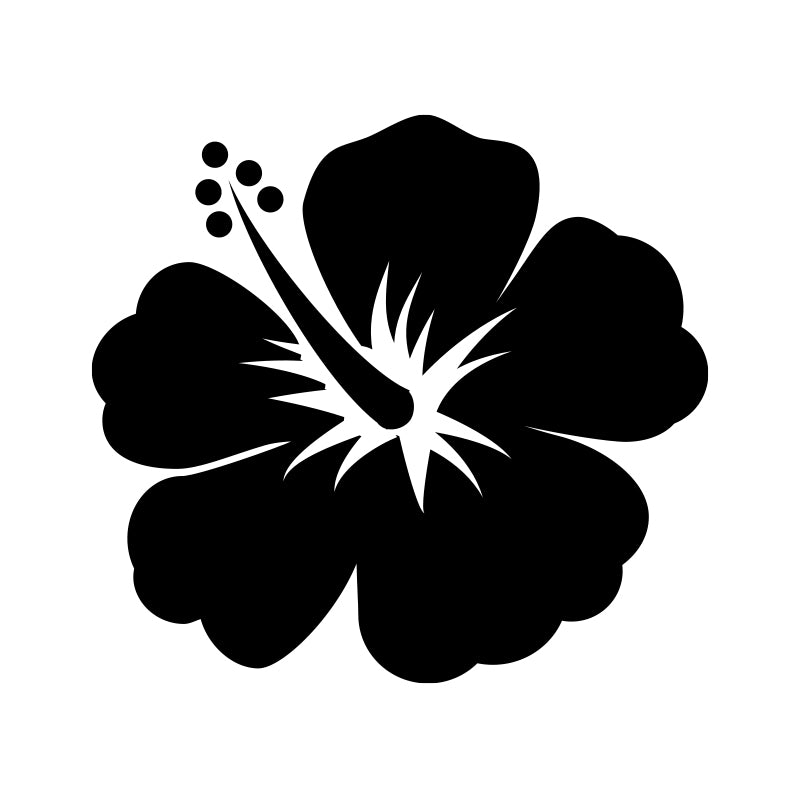 Hibiscus Jeep Name Icon